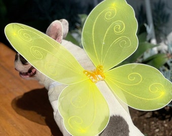 Butterfly wings for pet / Halloween costume/Dog costume/