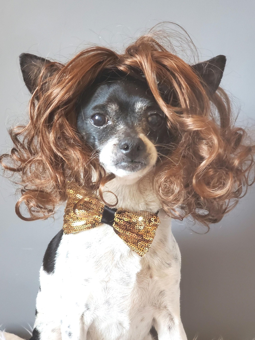 Wig for Small Dog /hallowing Costume for Dog /pet Wig Brown Color