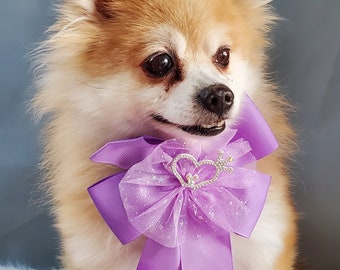 Lavender color Bow tie  // Dog Halloween Bow //  Dog Neck Tie || Pet Bow Tie || Dog Clothes