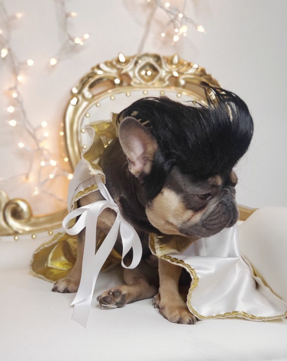 Elvis top dog outfit