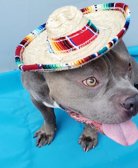 Straw Sombrero Cat Hat - Pet Costume Center