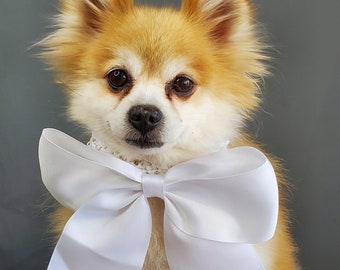 White  color Bow tie  // Dog Halloween Bow //  Dog Neck Tie || Pet Bow Tie || Dog Clothes