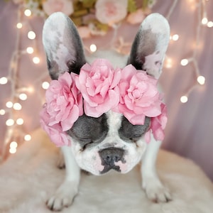 Flower crown  / Garden Flowers Pet wedding Set /Flower Crown/ Dogs Floral Headband /Cat Flower Crown Outfits/