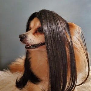 Cute pet wig black color dog or cat/Halloween dog wig/Costume dog wig /Dog costume / Cat costume / image 7