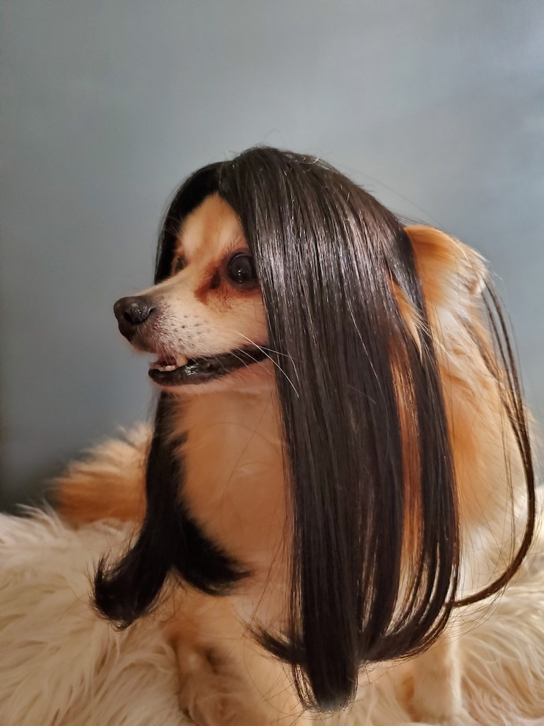 Cute pet wig black color dog or cat/Halloween dog wig/Costume dog wig /Dog costume / Cat costume / image 7