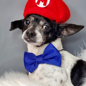 Supper Mario hat red color  for dog or cat  Small animal Doll /Halloween dog hat /Dog costume /Cat costume /