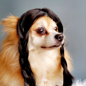 Wednesday wig for dog / Addams Family Cute pet braided wig black color for dog or cat/Halloween costume wig for dogs / image 4