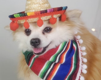 Set  sombrero hat  and bandanna scarf     for dog or cat/ Halloween pet costume/