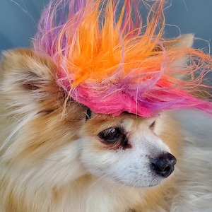 Mohawk   for your pet / Halloween dog costume /Cat Mohawk /