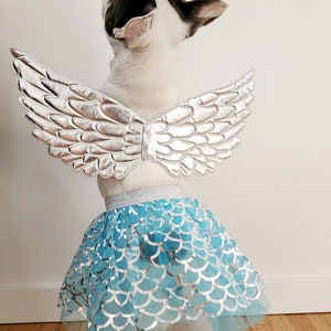 Halloween wings  for dogs   /dog costume  / Halloween costume/