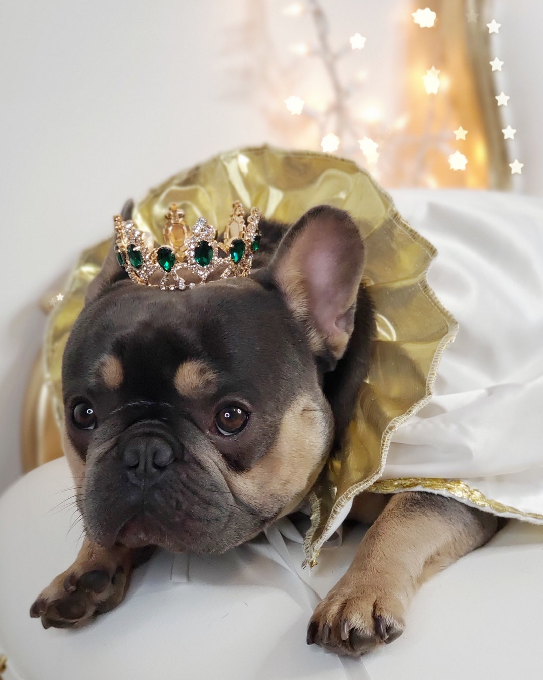 Dogs Costume /gold Color Crown for Dog or Cat /princess Dog Crown ...