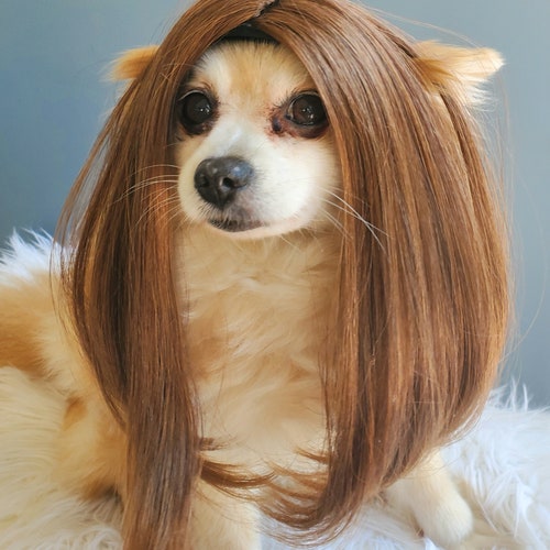 Pet Wig Brown Color for Dog or Cat / Halloween Dog Wig/ - Etsy