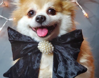 Velvet  Bow tie  Black color // Dog Halloween Bow //  Costume || Dog Neck Tie || Pet Bow Tie || Dog Clothes