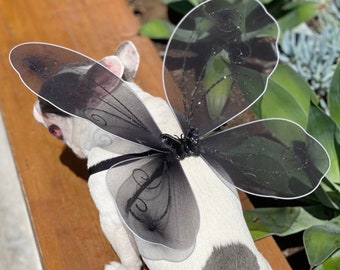 Butterfly wings for pet / Halloween costume/Dog costume/