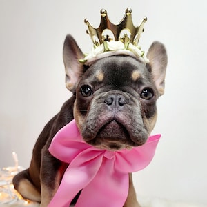 Set Listing Gold color crown   with pink color.  neck tie for dog or cat