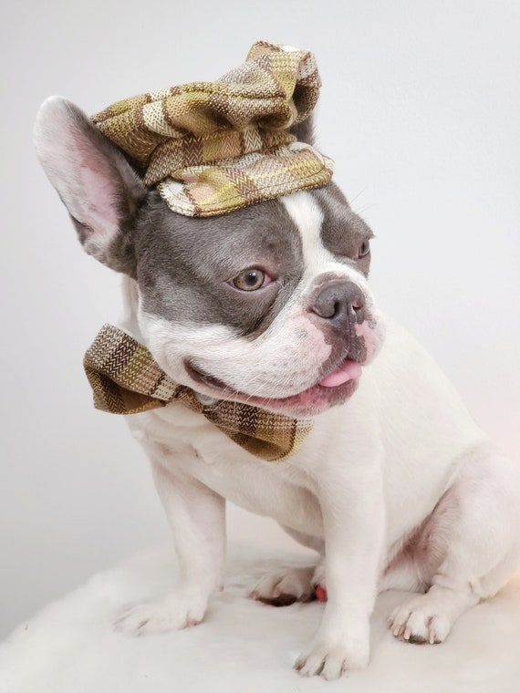 Dog Cap and Bow Tie Set, Pet Outfit