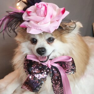 Hat for dogs/Elegant hat with   feather and   flower for dog or cat /Hat for small pet /Costume for dogs/