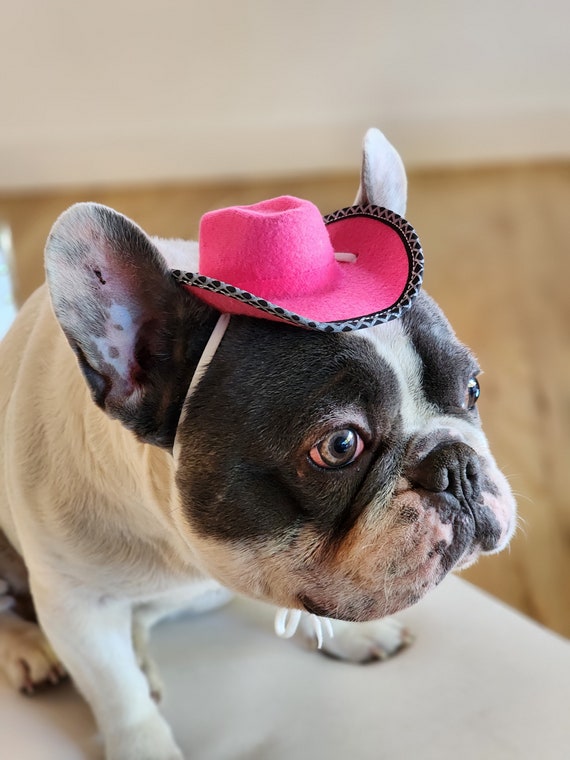 Cowboys Hat for Dog or Cat dog Costume Etsy Canada