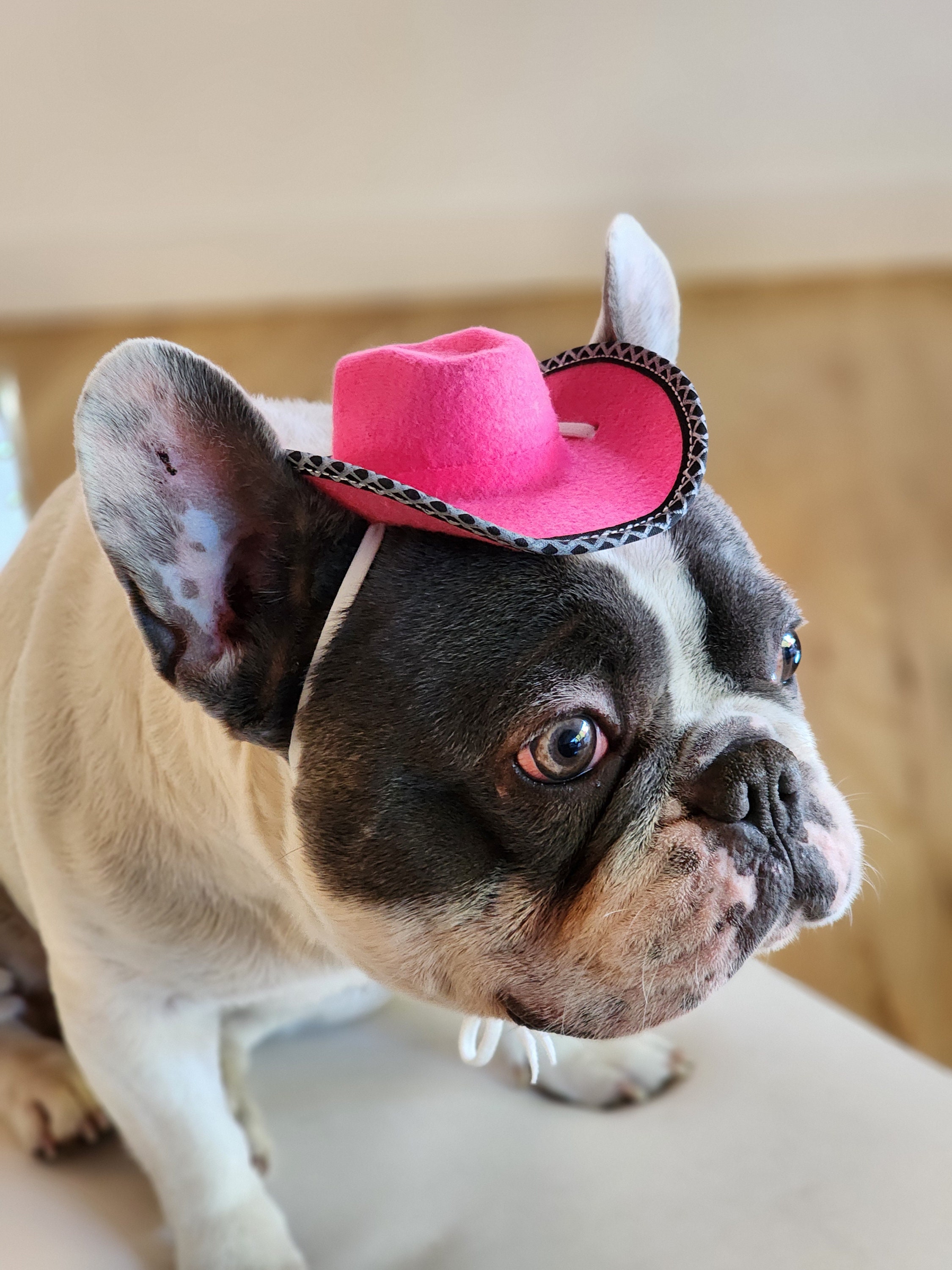 Bulldog cowboy cheap hat