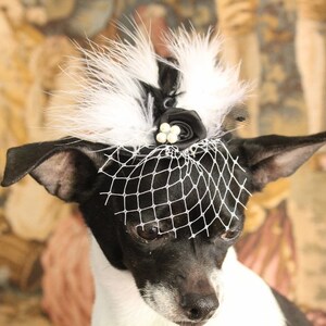 Cute black color mini hat with black and white color feather and flowers for dog or cat image 5