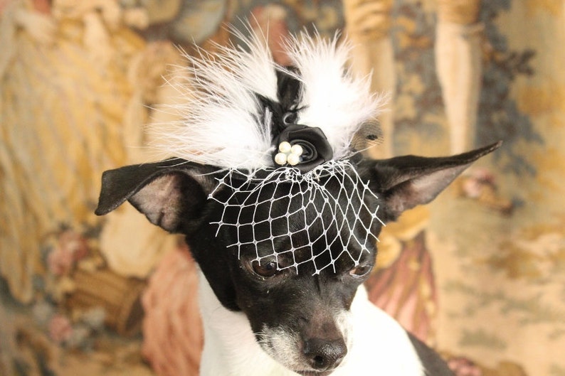 Cute black color mini hat with black and white color feather and flowers for dog or cat image 5