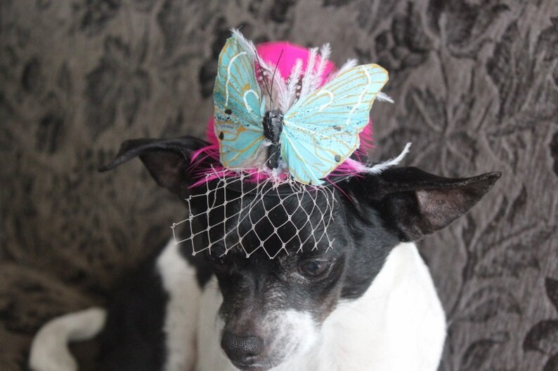 Cute black color mini hat with feather and butterfly