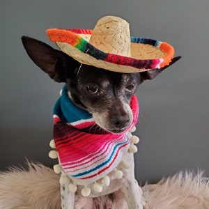 Set sombrero hat and bandanna scarf for dog or cat/ Halloween pet costume/ image 8
