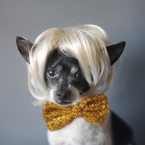 Blond  color  wig   for dog or cat /Halloween pet wig /Pet costumes/Halloween costume /Dog wig /Cat wig