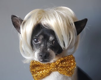 Perruque de couleur blonde pour chien ou chat /Perruque d'animal de compagnie d'Halloween /Costumes d'animal de compagnie/Costume d'Halloween /Perruque de chien /Perruque de chat