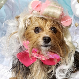 Blond Hundperuk med Rullar - Husdjurskostym