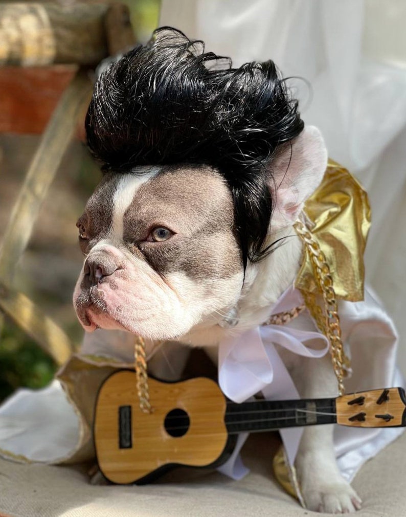 Perruque d'Elvis / Jolie perruque de couleur noire pour votre animal de compagnie / Perruque d'Halloween pour chien / Cape