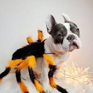 Spider costume for pets / Halloween costume/Dog costume/ image 2