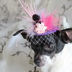 Cute purple color mini hat with feather and flowers for dog or cat /Costume for dog /small dog hat / image 4
