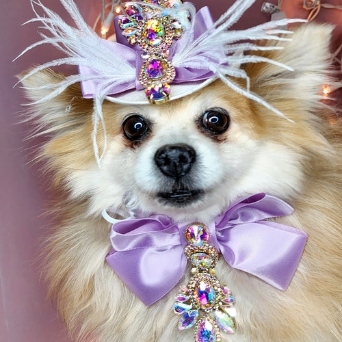 Pet Unicorn Hat for Dog or Cat/halloween Dog Costume/unicorn Etsy