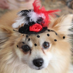 Cute black color mini hat with black red and white color feather and flowers / Small pet hat /Costume for dogs / image 1