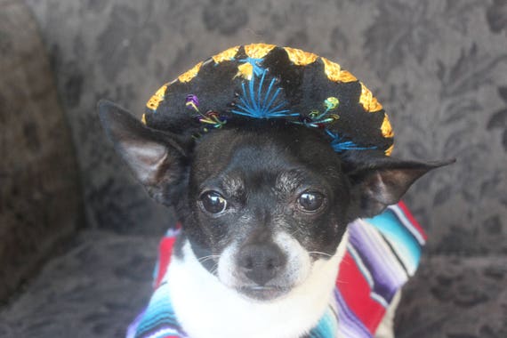 Cute sombrero hat for dog or cat