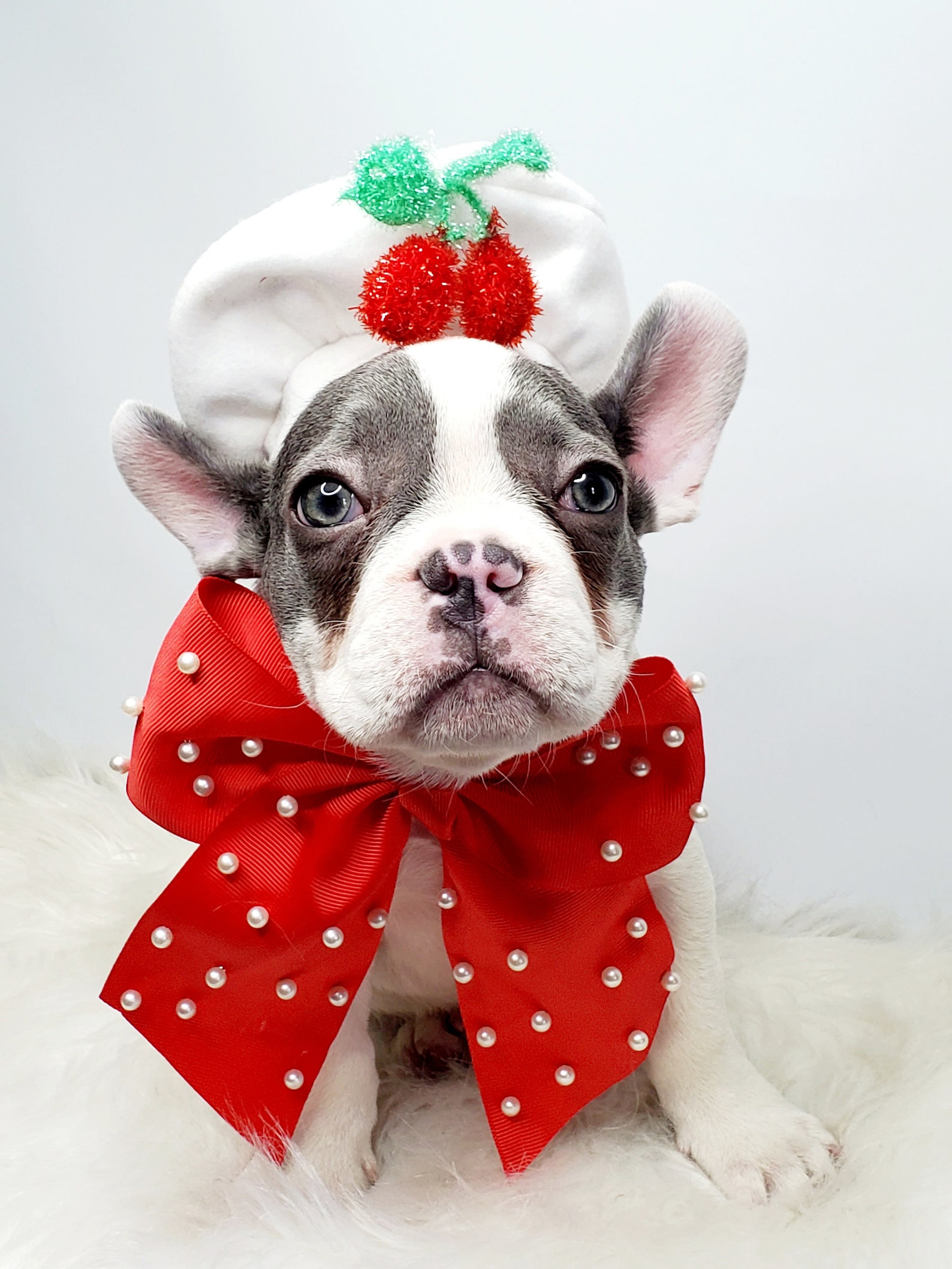 White Color Beret Hat for Dog or Cat Small Animal Doll /beret Etsy