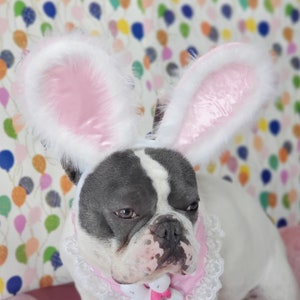 Easter Bunny headband for dog or cat /Bunny dog hat / Bunny dogs costume/ imagem 5