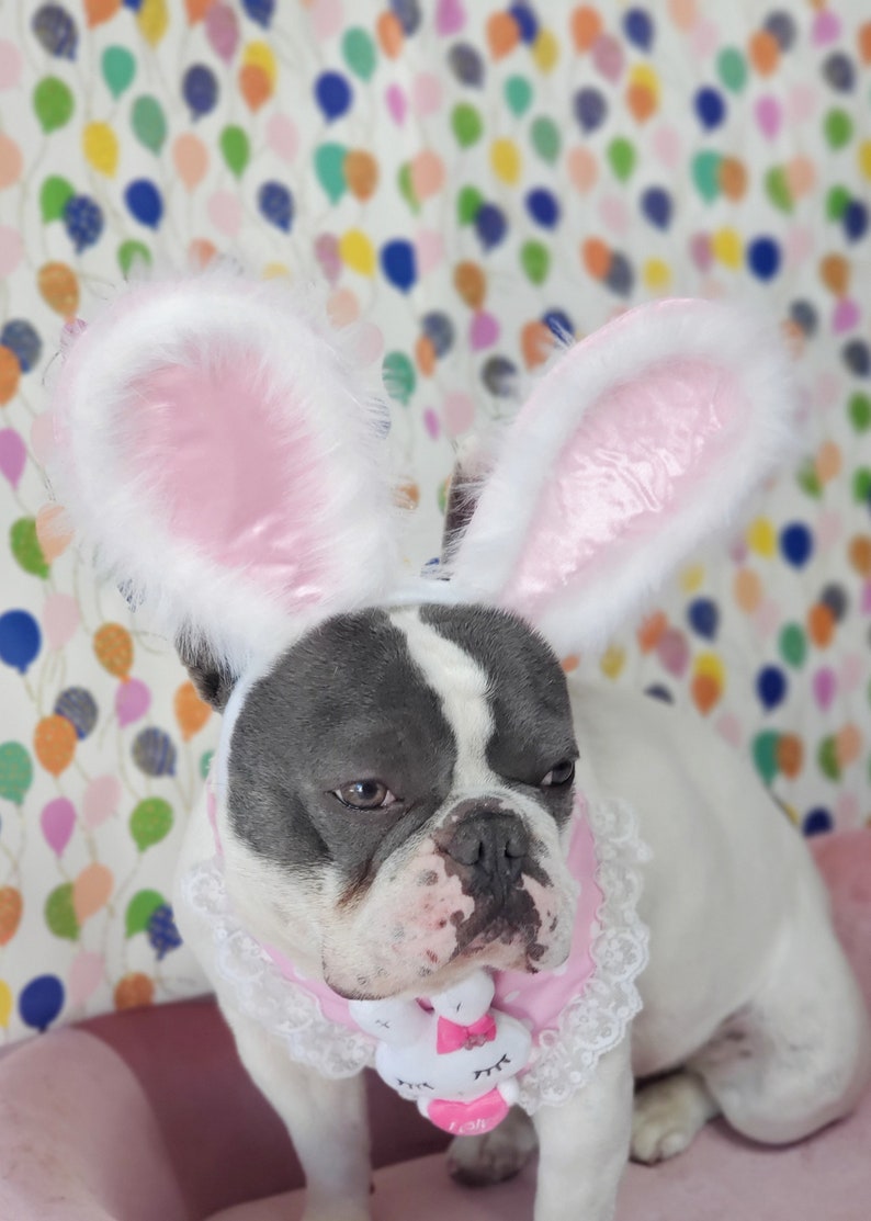 Easter Bunny headband for dog or cat /Bunny dog hat / Bunny dogs costume/ imagem 5