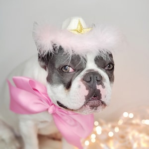 Cowboys hat white  color with pink colorfeather/ Hat for pet  / Small cowboys hat for dog / Cowboys dog costume /