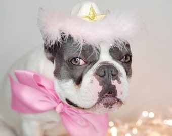 Cowboys hat white  color with pink colorfeather/ Hat for pet  / Small cowboys hat for dog / Cowboys dog costume /