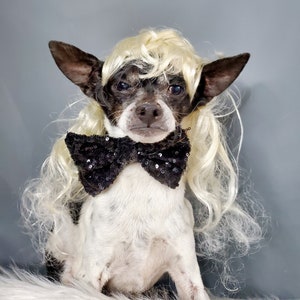 Tiger King Joe Exotic Inspired Halloween Costume Wig blond    color  for dog or cat /Pet costume /