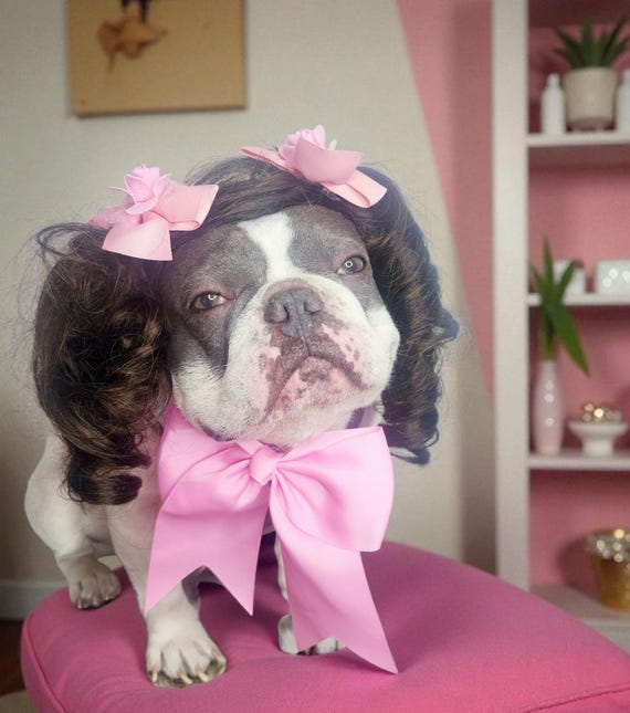Wig for Dogs/ Wig With Bows Clip and Pink Colorbow Neck Tie