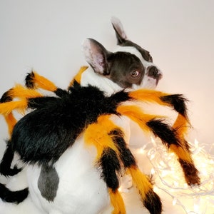 Spider costume for pets / Halloween costume/Dog costume/