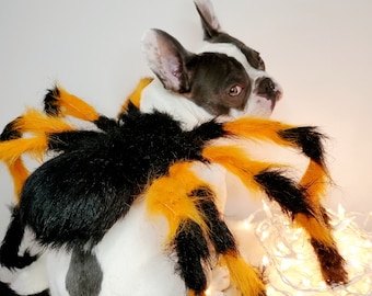 Spider costume for pets / Halloween costume/Dog costume/