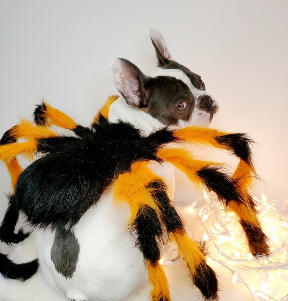 Marryso Large Scary Halloween Spider Pet Costume For Dogs & Cats, Unique & Funny Outdoor Decoration Transformation Dress-Up For Halloween Party