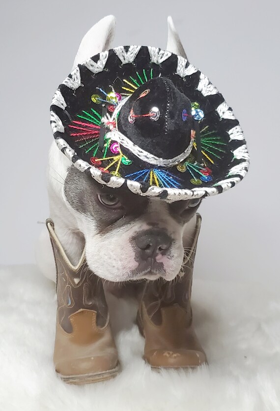 Walley World Hat Costume Accessory Sombreros Walley World Hat Costume Accessory Sombreros