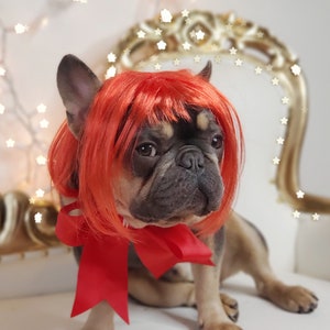 May include: A French Bulldog wearing a bright red wig and a matching red bow. The dog is sitting on a gold-trimmed chair, with a background of twinkling star-shaped lights. The dog's fur is a mix of black, brown, and tan.