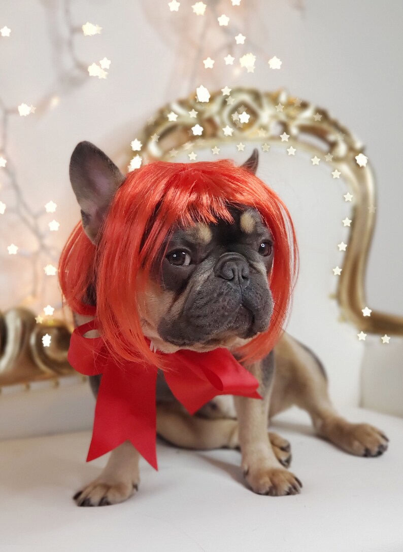 May include: A French Bulldog wearing a bright red wig and a matching red bow. The dog is sitting on a gold-trimmed chair, with a background of twinkling star-shaped lights. The dog's fur is a mix of black, brown, and tan.