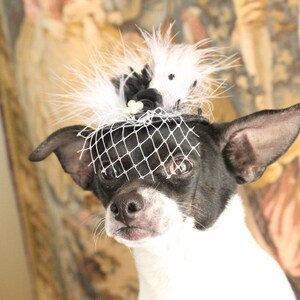 Cute black color mini hat with black and white color feather and flowers for dog or cat image 3